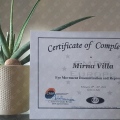 Ingrandire l'immagine: certificate 1