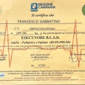 Ingrandire l'immagine: certificate 15