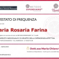 Ingrandire l'immagine: certificate 3