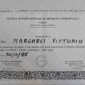 Ingrandire l'immagine: certificate 44
