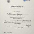 Ingrandire l'immagine: certificate 2