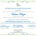 Ingrandire l'immagine: certificate 4