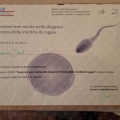 Ingrandire l'immagine: certificate 4