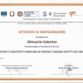 Ingrandire l'immagine: certificate 11