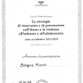 Ingrandire l'immagine: certificate 3