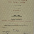 Ingrandire l'immagine: certificate 2