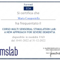 Ingrandire l'immagine: certificate 7