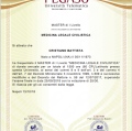 Ingrandire l'immagine: certificate 2