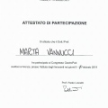 Ingrandire l'immagine: certificate 1