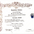 Ingrandire l'immagine: certificate 1