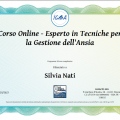 Ingrandire l'immagine: certificate 25