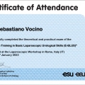 Ingrandire l'immagine: certificate 1