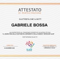 Ingrandire l'immagine: certificate 2