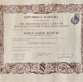 Ingrandire l'immagine: certificate 1