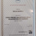 Ingrandire l'immagine: certificate 8