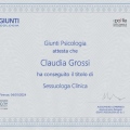 Ingrandire l'immagine: certificate 3