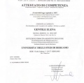 Ingrandire l'immagine: certificate 2