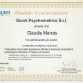 Ingrandire l'immagine: certificate 2