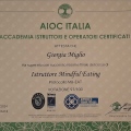 Ingrandire l'immagine: certificate 7