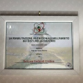 Ingrandire l'immagine: certificate 8