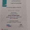 Ingrandire l'immagine: certificate 28