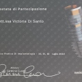 Ingrandire l'immagine: certificate 2