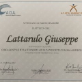 Ingrandire l'immagine: certificate 8