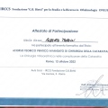Ingrandire l'immagine: certificate 7