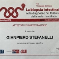Ingrandire l'immagine: certificate 29