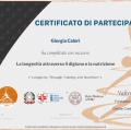 Ingrandire l'immagine: certificate 2