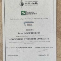Ingrandire l'immagine: certificate 4