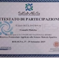 Ingrandire l'immagine: certificate 3