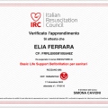 Ingrandire l'immagine: certificate 1
