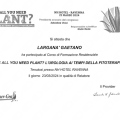 Ingrandire l'immagine: certificate 2