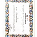 Ingrandire l'immagine: certificate 2