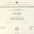 Ingrandire l'immagine: certificate 1