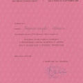 Ingrandire l'immagine: certificate 20