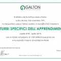 Ingrandire l'immagine: certificate 4