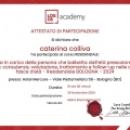 Ingrandire l'immagine: certificate 2