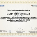 Ingrandire l'immagine: certificate 6