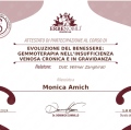 Ingrandire l'immagine: certificate 11