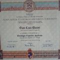 Ingrandire l'immagine: certificate 2