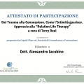 Ingrandire l'immagine: certificate 7