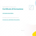 Ingrandire l'immagine: certificate 4