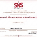 Ingrandire l'immagine: certificate 2