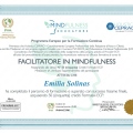 Ingrandire l'immagine: certificate 1