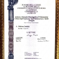 Ingrandire l'immagine: certificate 1