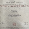 Ingrandire l'immagine: certificate 1