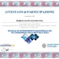 Ingrandire l'immagine: certificate 6