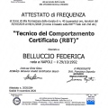 Ingrandire l'immagine: certificate 3